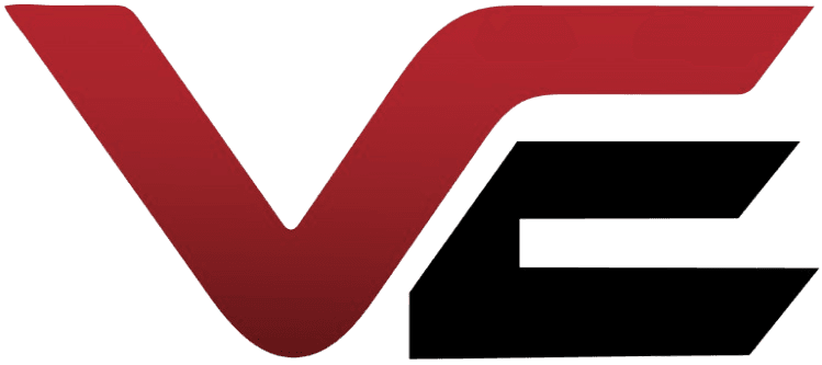 Vasudexim Logo